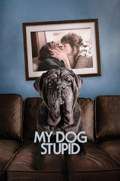 我的笨狗 我的笨狗